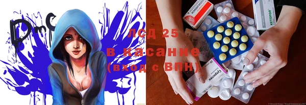 прущие крисы Аркадак