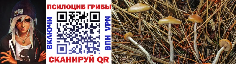 Галлюциногенные грибы GOLDEN TEACHER Бологое